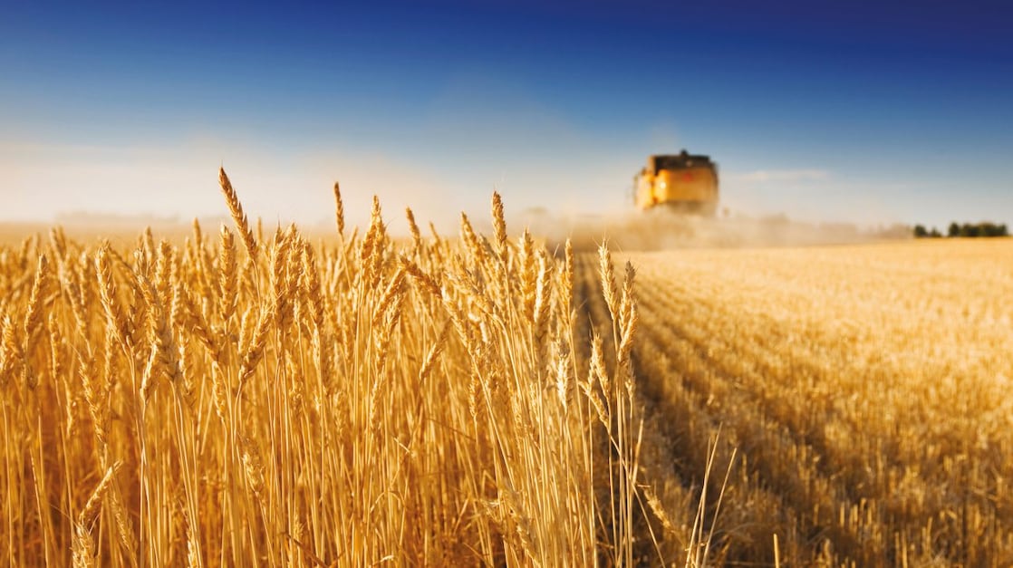 Combine harvester, harvesting half a field of crops 