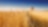 Combine harvester, harvesting half a field of crops 