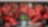 Scuderia Ferrari team in 2004