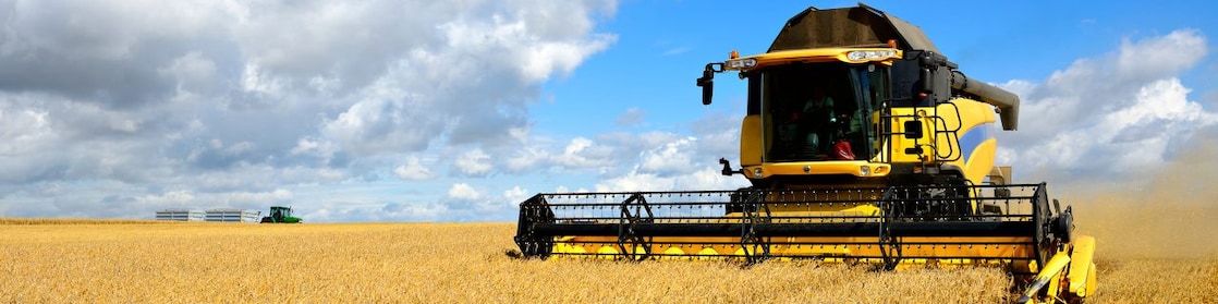 Agricultura